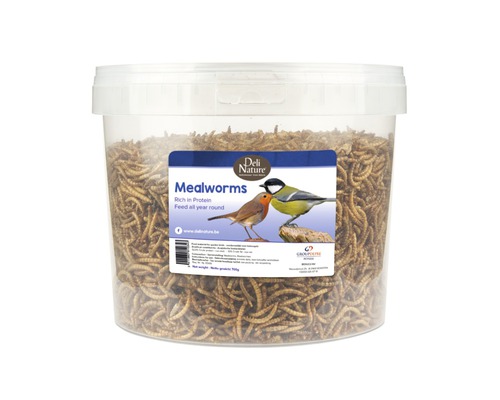 DELI-NATURE Greenline meelwormen 700 g-0