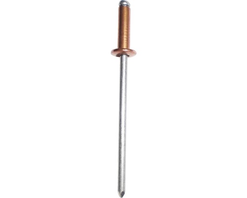 GESIPA Popnagels koper Ø 3x10 mm, 500 stuks Een enkele blindklinknagel van metaal