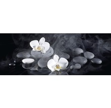 Stilleven met orchideeën en stenen