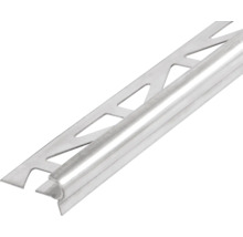 DURAL Traptredenprofiel Florentostep grijs 11 mm x 100 cm
