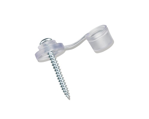 Schroef met afdekkap