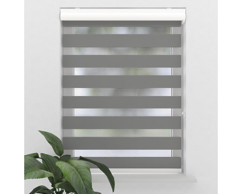 Raamrolgordijn met horizontale strepen en plantaccent
