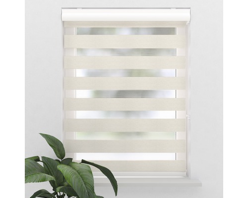 Duo rolgordijn bij het raam met plant