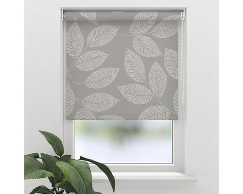 SOLUNA Rolgordijn lichtdoorlatend D10 bladeren beige 60x190 cm Rolgordijn met bladerpatroon voor raam