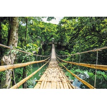 REINDERS Poster Jungle Bridge 61x91,5 cm