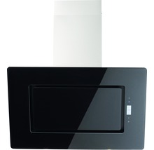 Wandschouwkap van roestvrij staal en glas voor de keuken