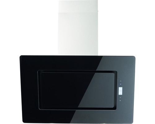 Wandschouwkap van roestvrij staal en glas voor de keuken