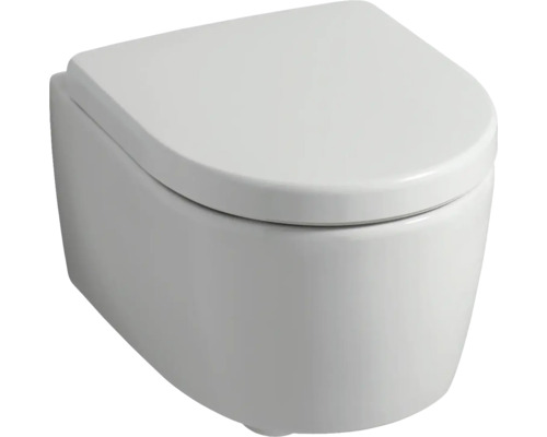 Wandcloset met toiletdeksel