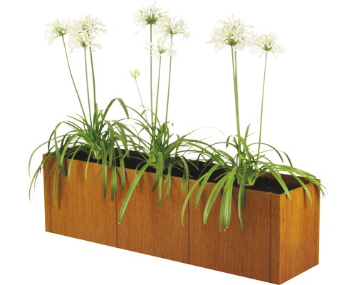 BELLISSA Plantenbaksysteem set pannello 116 x 44 x 50 cm