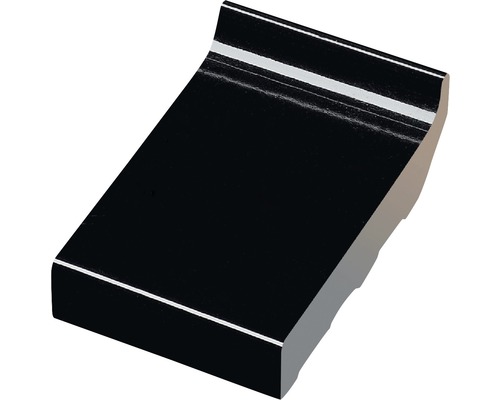 Raamdorpel verglaasd zwart (l x b x d) 160 x 105 x 20 mm