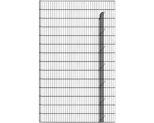 Metalen hek met palen voor tuinafsluiting