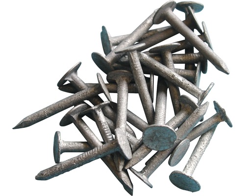 Asfaltnagel 2,8x16 mm thermisch verzinkt, 200 stuks Nagelassortiment voor verschillende toepassingen