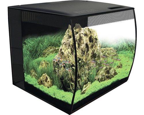 Zwart aquarium met rotsen, planten en vissen