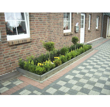 Tuinperk met buxushaag en bestrating voor bakstenen gevel