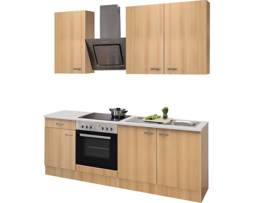 Complete keuken met spoelbak, kookplaat, oven, afzuigkap en hangkasten.