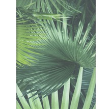 RASCH Vliesbehang 524901 palmen groen-thumb-0