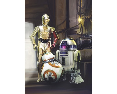 KOMAR Fotobehang papier 4-447 Disney Edition 4 Star Wars 3 Droids 184x254 cm Illustratie van C-3PO, R2-D2 en BB-8 Droiden