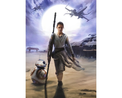 KOMAR Fotobehang papier 4-448 Disney Star Wars Rey 184x254 cm