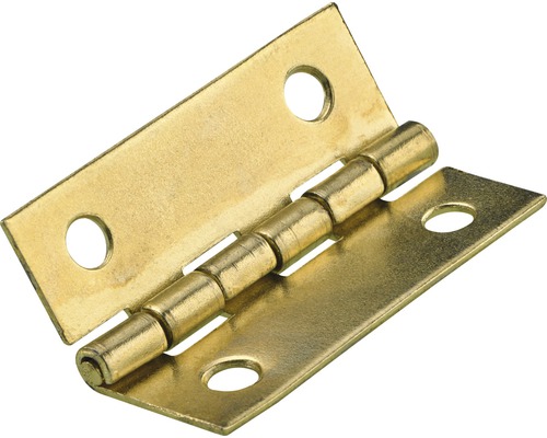HETTICH Meubelscharnier 30x20 mm vermessingd, 8 stuks Messingkleurig scharnier met bevestigingsgaten
