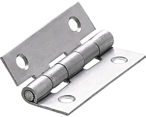 HETTICH Scharnier 40x25 mm RVS, 10 stuks Metalen scharnier met bevestigingsgaten