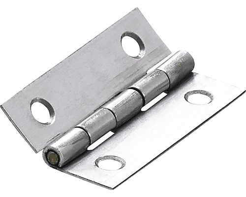HETTICH Scharnier 50x30 mm RVS, 10 stuks Metalen scharnier met schroefgaten