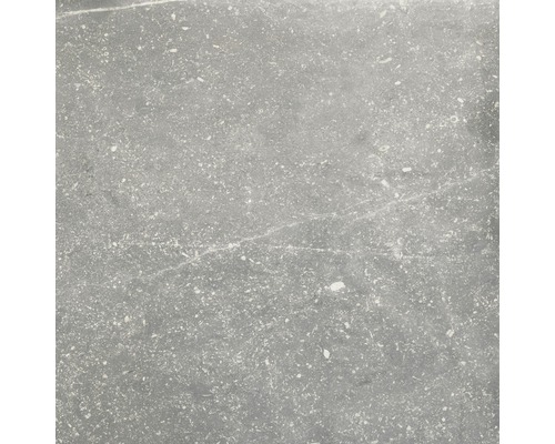 Wand- en vloertegel Nilson Chrome antraciet 60x60 cm gerectificeerd Grijze tegel met steenlook