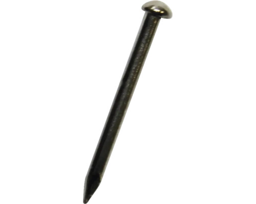 DRESSELHAUS Nagel ronde kop 1x12 mm vernikkeld Enkele stalen spijker met platte kop
