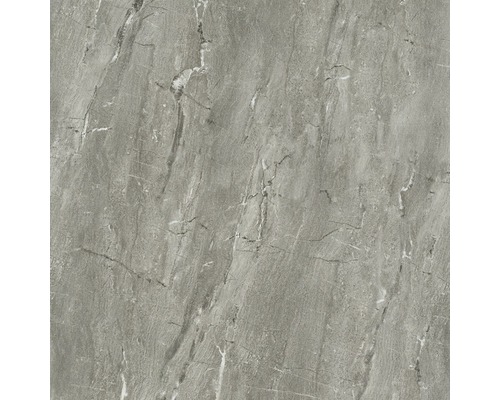 Wand- en vloertegel Premium grijs 80x80 cm gerectificeerd