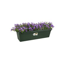 Bloembak met bloeiende planten