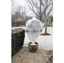 Plant met winterbeschermingsvlies in pot in de tuin