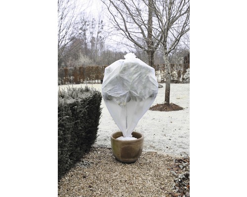 Plant met winterbeschermingsvlies in pot in de tuin
