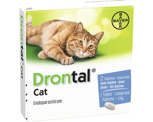 DRONTAL Cat