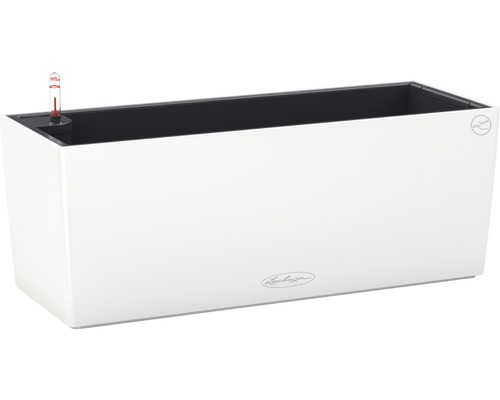 LECHUZA All-in-One Set Balkonbak Color Balconera Kunststof wit 50x19x19 cm Rechthoekige, witte plantenbak met waterniveau-indicator
