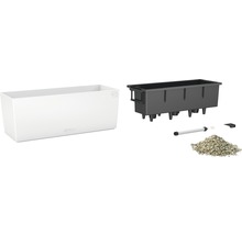 Bloembak met irrigatiesysteem en accessoires