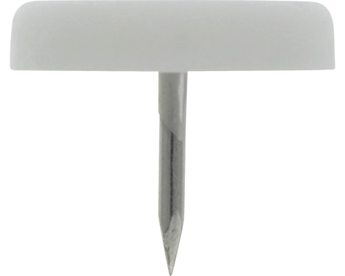 Punaises met kunststof kop