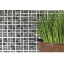 Mozaïektegelwand met potplant op de voorgrond