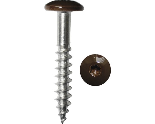 DRESSELHAUS Montageschroef 5,5x25 mm RVS A4 bruin, 100 stuks Houtschroef met bolkop en Torx aandrijving