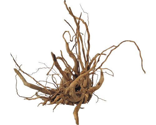 ORBIT Decoratie Wortel M 30-40 cm beige ORBIT Decoratie Wortel M 30-40 cm beige