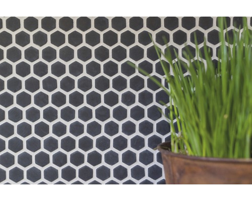 Wandtegels met zeshoekig patroon en plant