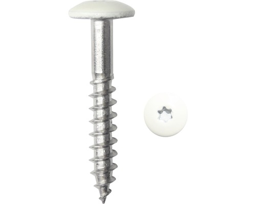 DRESSELHAUS Montageschroef 5,5x35 mm RVS A4 gebroken wit, 100 stuks Schroef met torx aandrijving en afdekkap