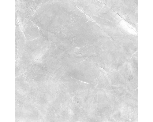 Wand- en vloertegel Premium marble messina grijs 60x60 cm gerectificeerd-0