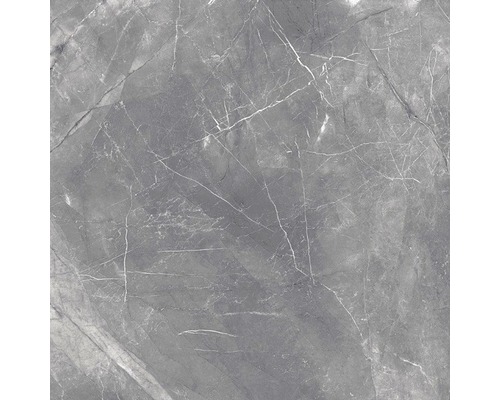 Wand- en vloertegel Premium marble messina zwart 60x60 cm
