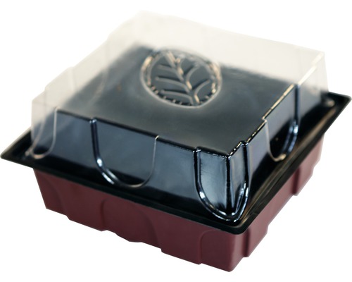 Kweekkas met deksel voor het kweken van planten