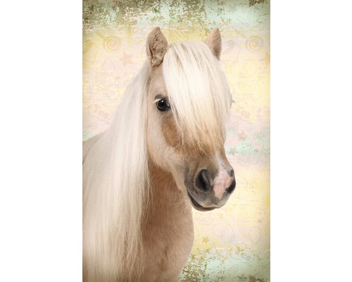 REINDERS Poster Sweet horse 61x91,5 cm