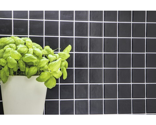 Zwarte tegelwand met basilicumplant in pot