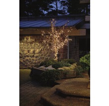 Decoratieve boom met lichtjes in de buitenruimte van een huis