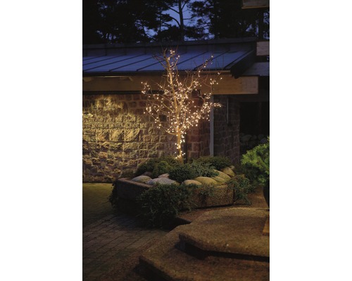 KONSTSMIDE Kerstverlichting LED lichtketting micro 120 lampjes warmwit zwart snoer 6 m Decoratieve boom met lichtjes in de buitenruimte van een huis