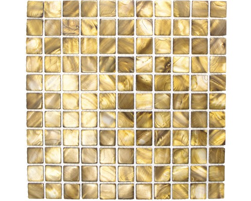 Mozaïektegel schelp SM 2569 beige/bruin 30x30 cm Vierkante glazen mozaïektegels op een net
