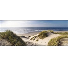 Duinlandschap met strand en zee