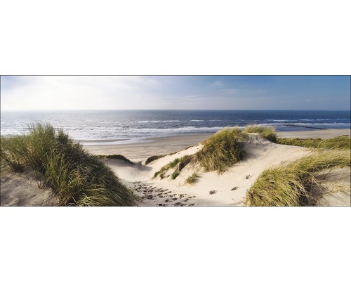 Duinlandschap met strand en zee